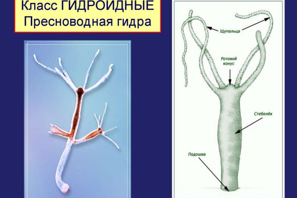 Ссылка на кракен тор kr2web in